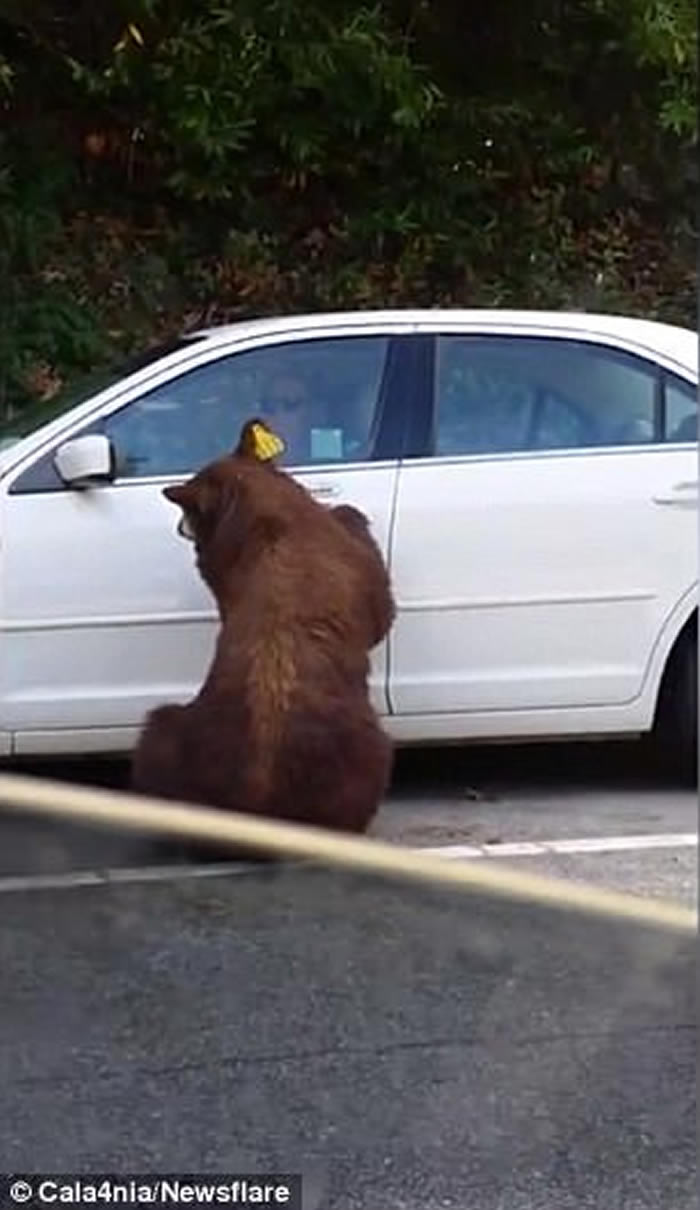 ��������������ͼ���ٳ��� ���ȿ������Ż�˾��