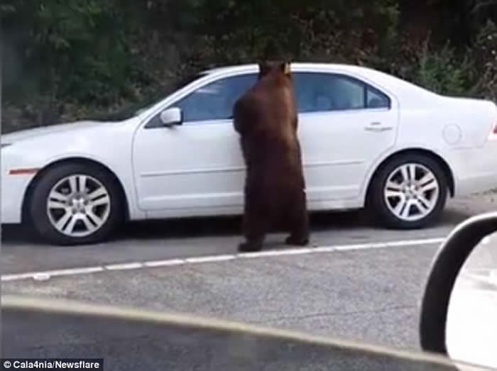 ��������������ͼ���ٳ��� ���ȿ������Ż�˾��