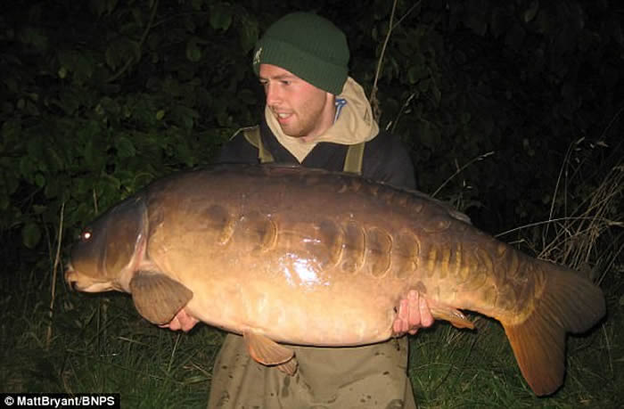 Ӣ�����ˮ�㾵�����ġ���ʬ���� ���Ѱ���