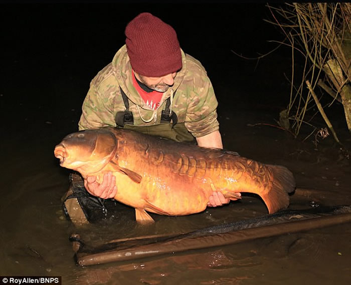 Ӣ�����ˮ�㾵�����ġ���ʬ���� ���Ѱ���