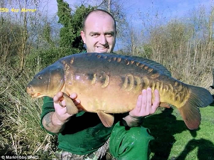 Ӣ�����ˮ�㾵�����ġ���ʬ���� ���Ѱ���