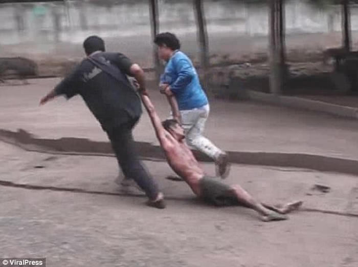 泰国碧差汶府养殖场男子摸大黑熊 反被拉入养饲圈狂噬逾15分钟