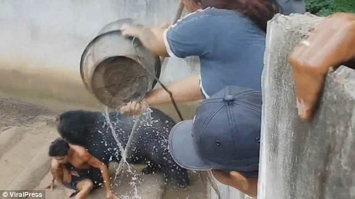 泰国碧差汶府养殖场男子摸大黑熊 反被拉入养饲圈狂噬逾15分钟