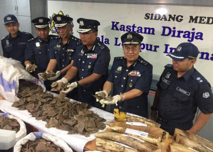 ��¡�¹��ʻ���ִ�����Ա�ɹ�������˽����