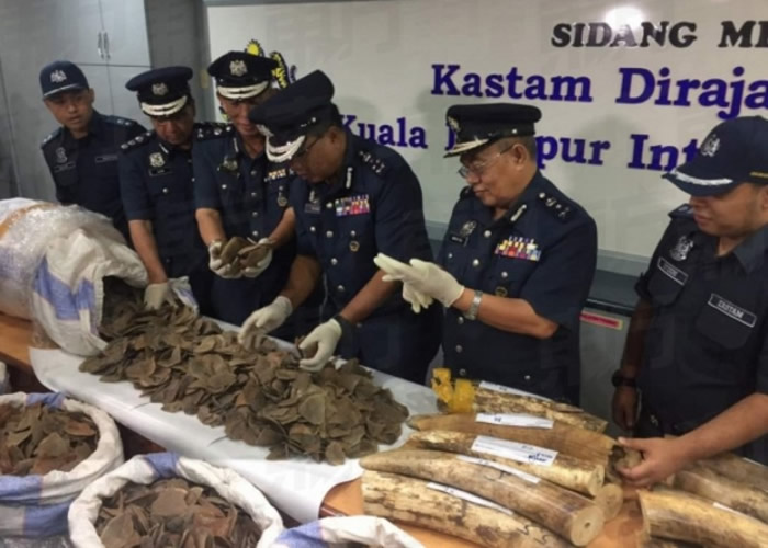 ��Աչʾ��˽��Ʒ��