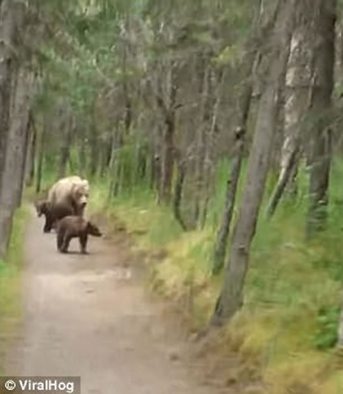 ��������˹�����ӽ�Ұ��԰��ɽ�������˼�ͥ