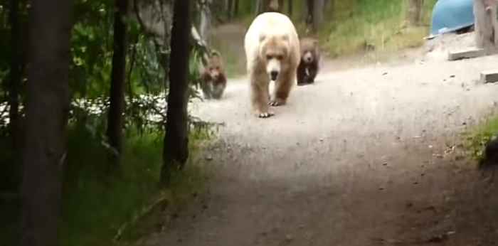 ��������˹�����ӽ�Ұ��԰��ɽ�������˼�ͥ