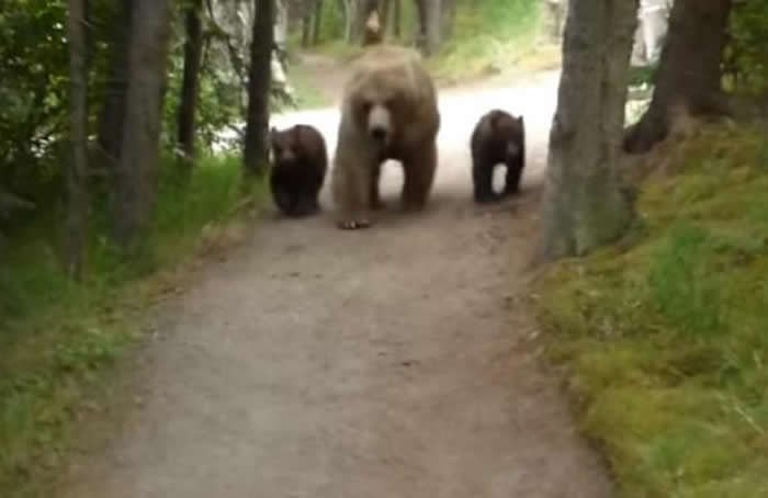 ��������˹�����ӽ�Ұ��԰��ɽ�������˼�ͥ