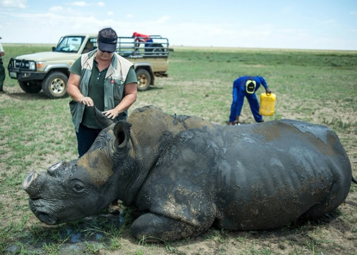 ����Ϭţ����͵�Ե��ǡ�������ͼƬ��