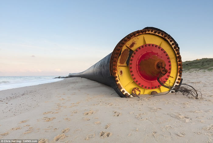 Ӣ��ŵ���˺�̲������4.8�������ܽ��ڹ�