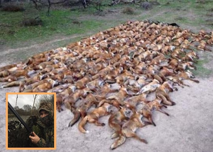 ������˹��Сͼ���������غ���ʬ�����Ƭ��Twitter��