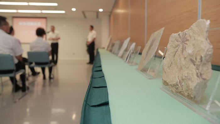 朝阳济赞堂古生物化石博物馆向上海自然博物馆捐赠11件古生物化石标本