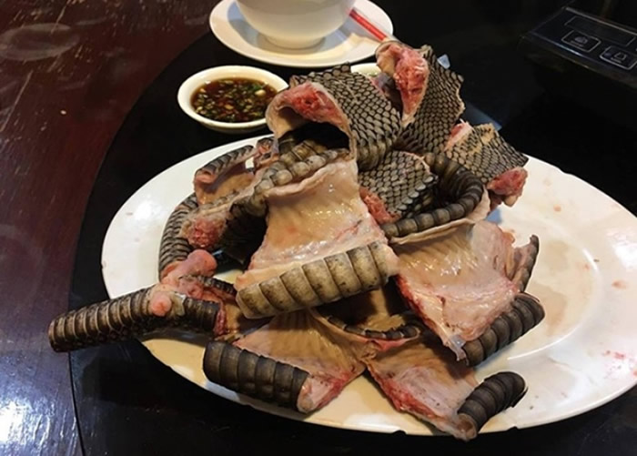 泰国曼谷餐馆卖受保护野生动物 食客多是中国人