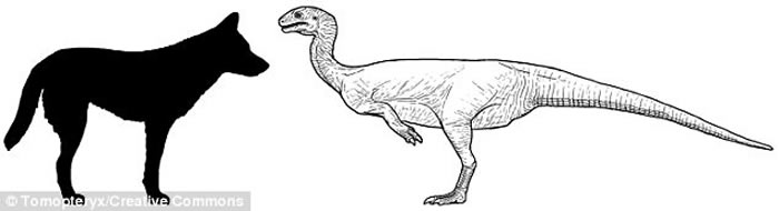 “弗兰肯斯坦式恐龙”:四不像恐龙Chilesaurus身体各部分像是兽脚类各个分支的大杂烩