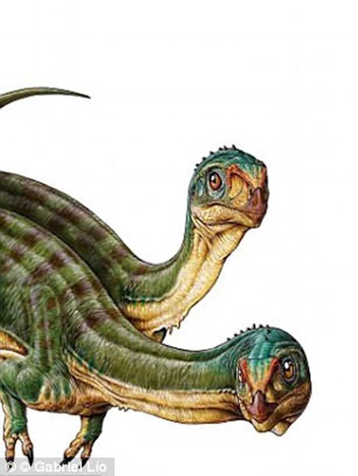 “弗兰肯斯坦式恐龙”:四不像恐龙Chilesaurus身体各部分像是兽脚类各个分支的大杂烩