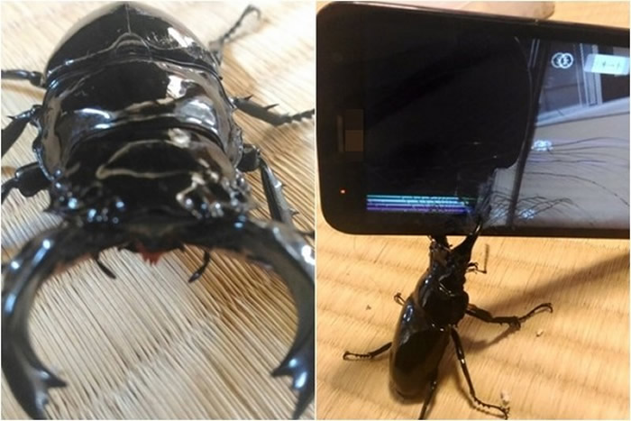 ձѲԣγһ ֻĻѳ֩״