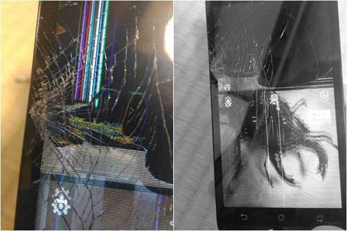 ձѲԣγһ ֻĻѳ֩״