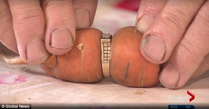 加拿大84岁阿婆求婚钻戒失踪13年 在农场红萝卜身上找到