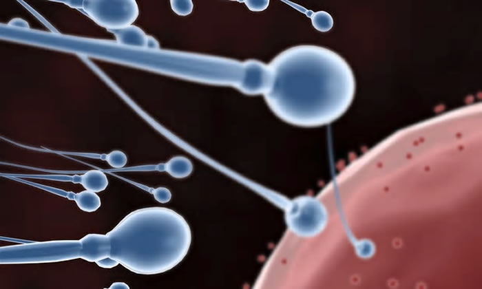 ��ѧ�ұ����ϸ�����±�̿���Ȳ���С��