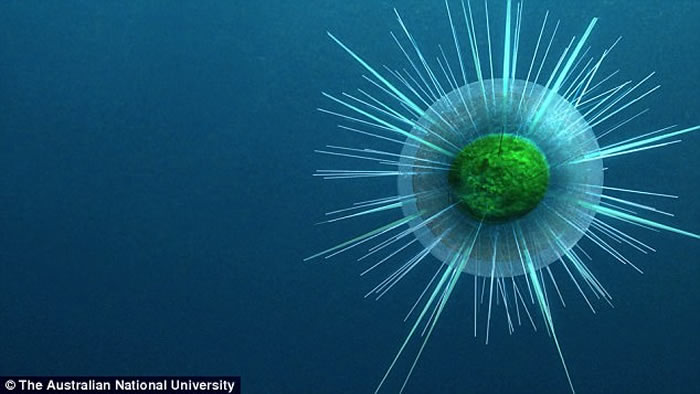 �����е�����Ѹ������