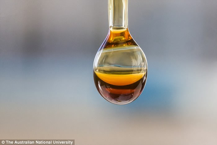 �о���Ա��Զ�ų����һ���ɷ�ĩ�����г�ȡ��������ķ��ӣ�������������ε�����