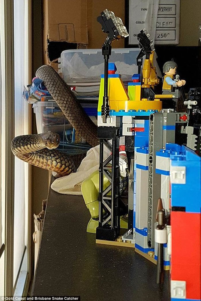 ޻ƽ𺣰߶ѷִ רңǶޱȵĶ۾