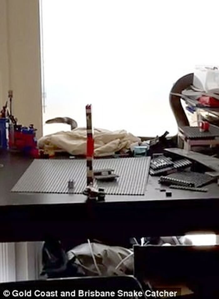 ޻ƽ𺣰߶ѷִ רңǶޱȵĶ۾