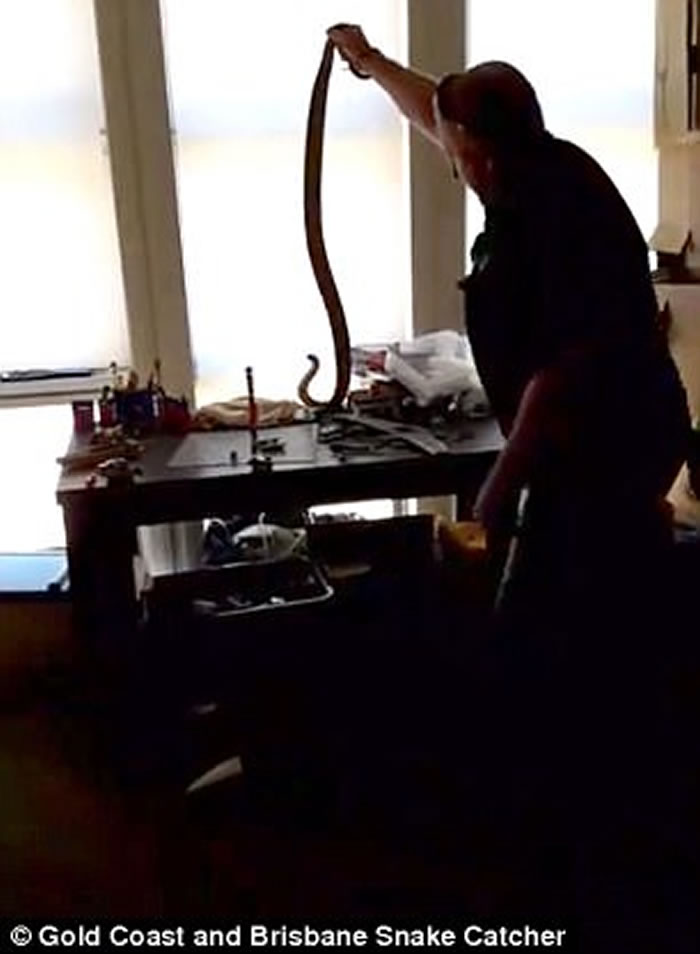 ޻ƽ𺣰߶ѷִ רңǶޱȵĶ۾