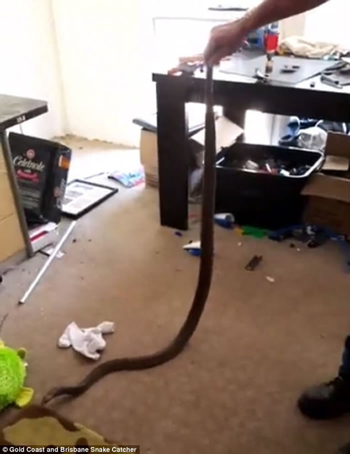 ޻ƽ𺣰߶ѷִ רңǶޱȵĶ۾