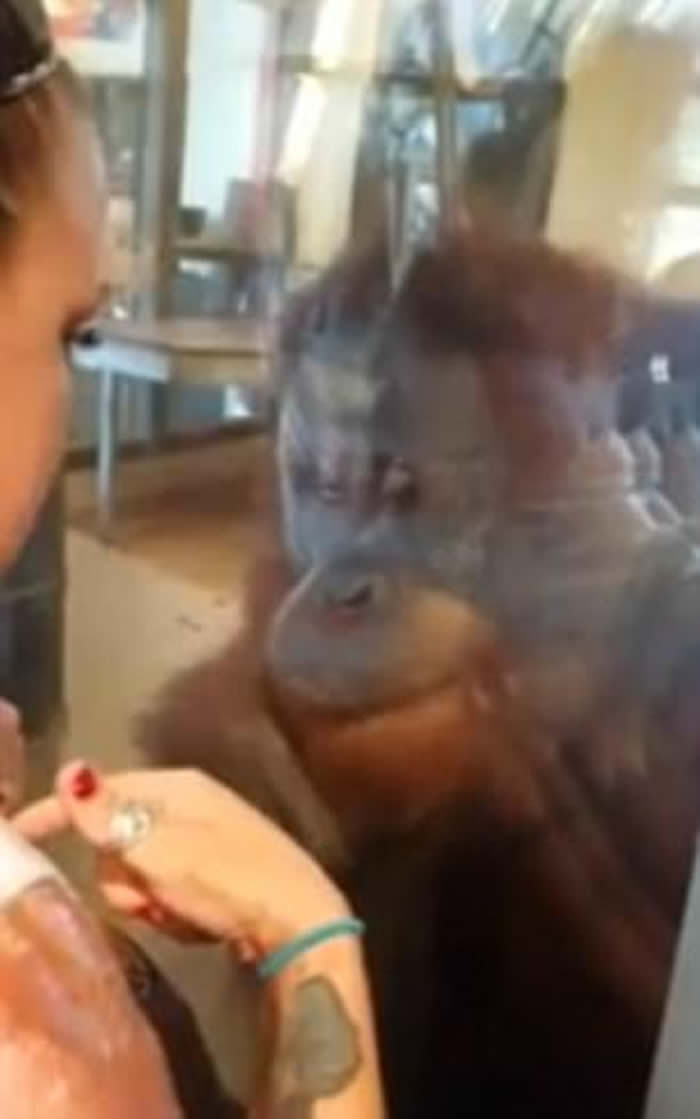 ˸˵ӡڰɲ˹԰ιʱ񡰺ëϧ