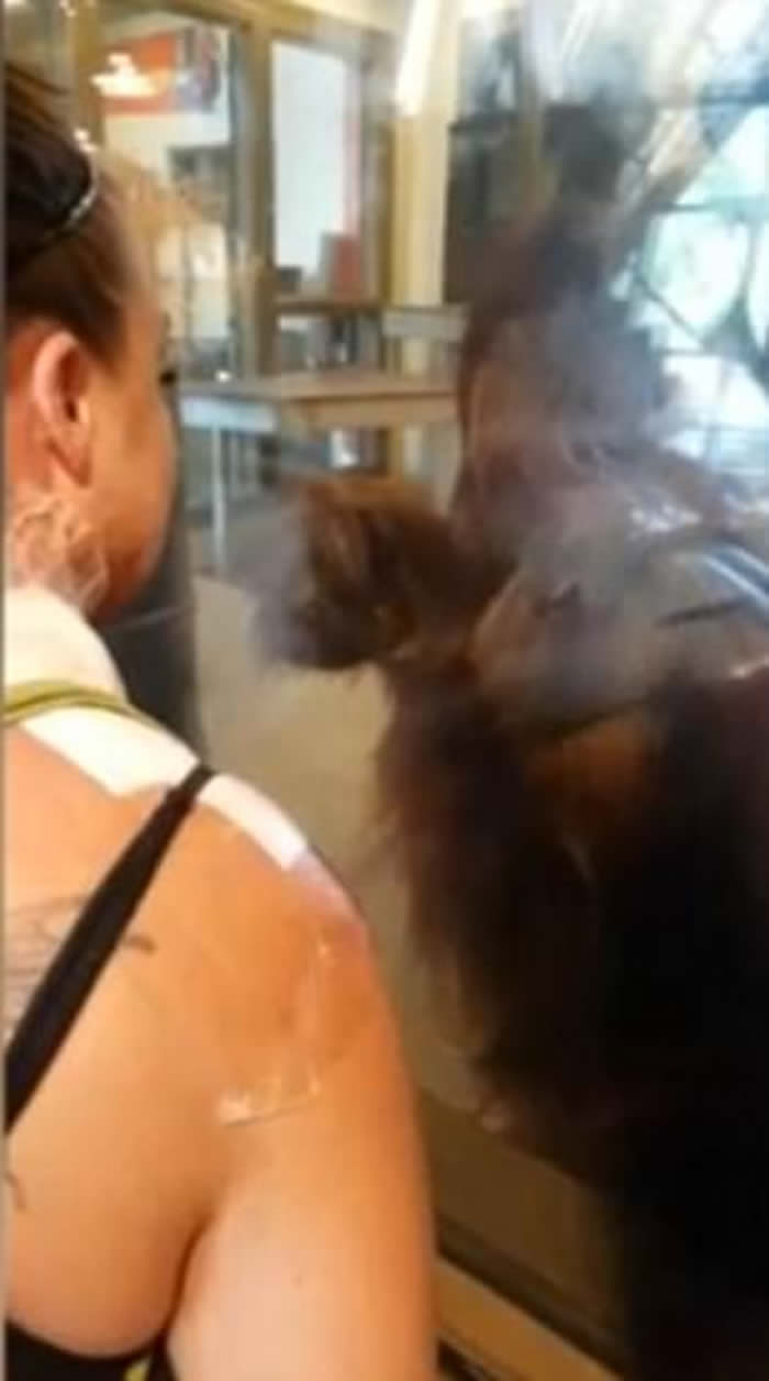 ˸˵ӡڰɲ˹԰ιʱ񡰺ëϧ