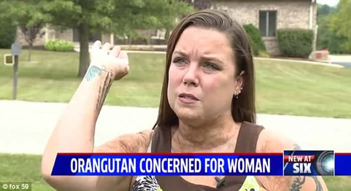 ˸˵ӡڰɲ˹԰ιʱ񡰺ëϧ