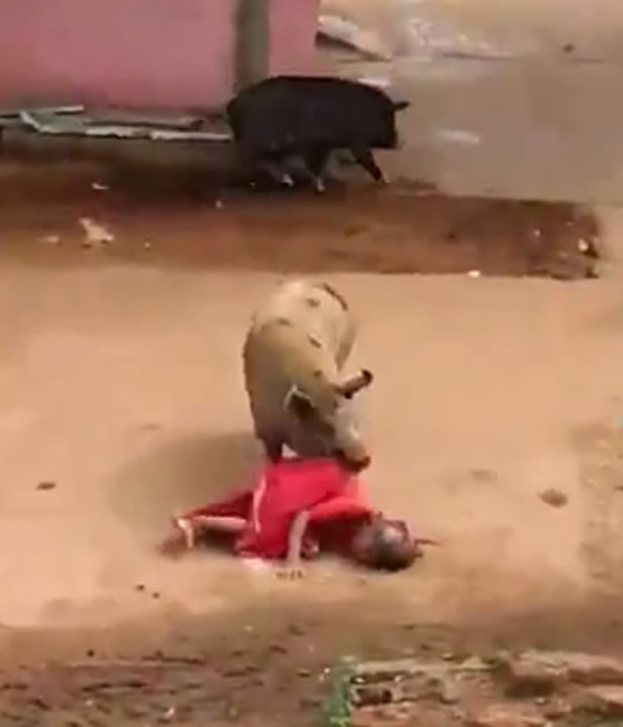 ӡ�Ȱ���������ڽ��ϱ���ֻ�����ҹ���