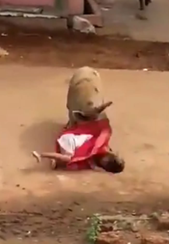 ӡ�Ȱ���������ڽ��ϱ���ֻ�����ҹ���