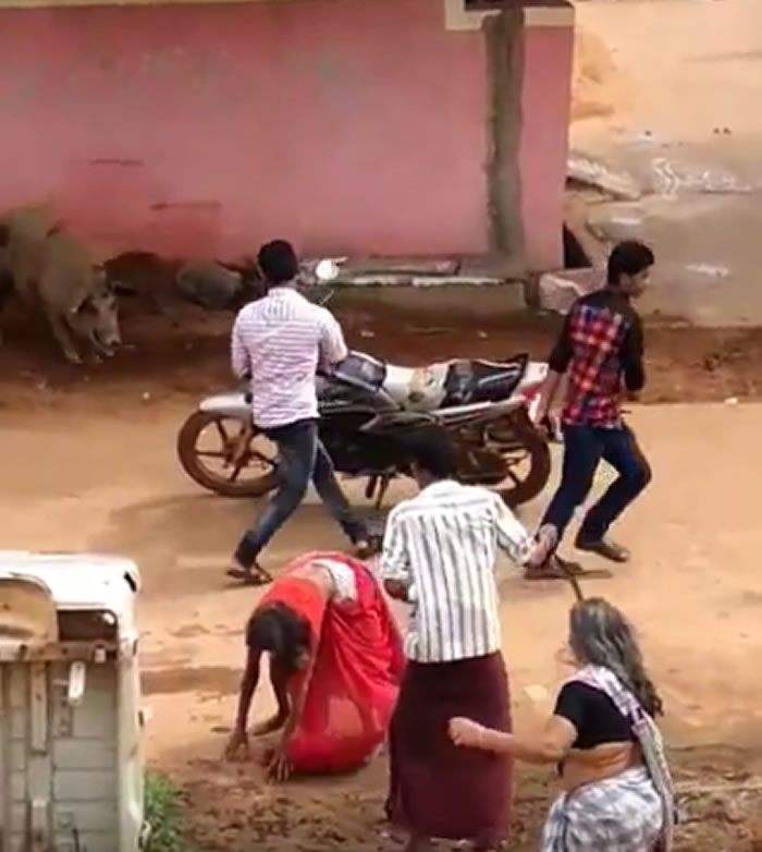 ӡ�Ȱ���������ڽ��ϱ���ֻ�����ҹ���