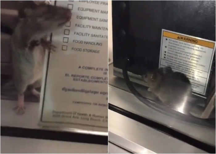 ����������ʳ�｡�����ϸ�֤�顱�Աߡ�