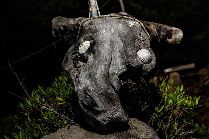 莫兰迪收集、雕刻漂流的杜松木,再将这些作品卖给游客,把钱捐给非洲或西藏等地的非营利组织。虽然他住在一小片土地上,他实际上也在乎整个世界。