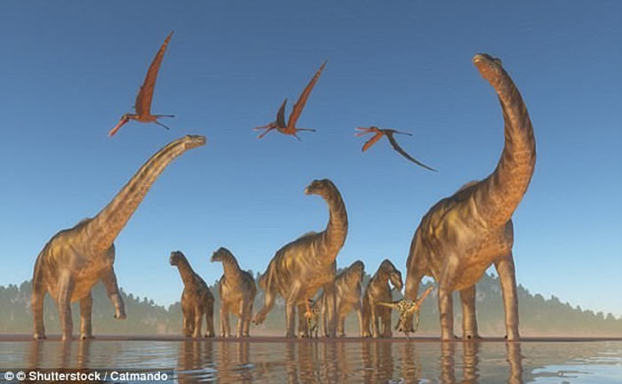 ҿѧԺԺ¿Сײʹ볤18µĺڰ