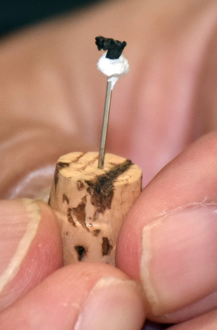 日本熊本县御船町白垩纪地层中发现与有袋类动物拥有同一祖先的哺乳动物牙齿化石