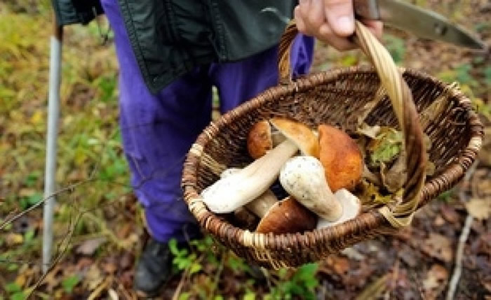 ������Ұ���ժҰ��ʱ���¡�������ͼƬ��