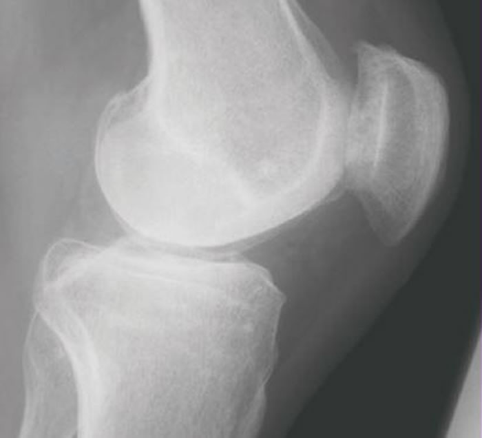 ��SLAS Discovery�����ǹؽ�����ʹ���������о������½�չ��δ������