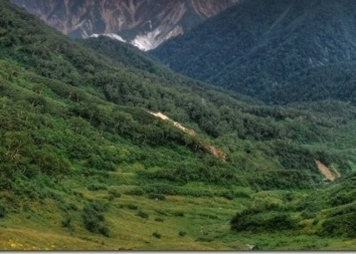 筒井一度被困山上。