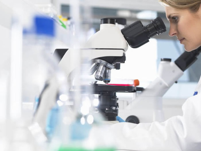 研究发现,维他命C能“告诉”有毛病的干细胞“去死”。