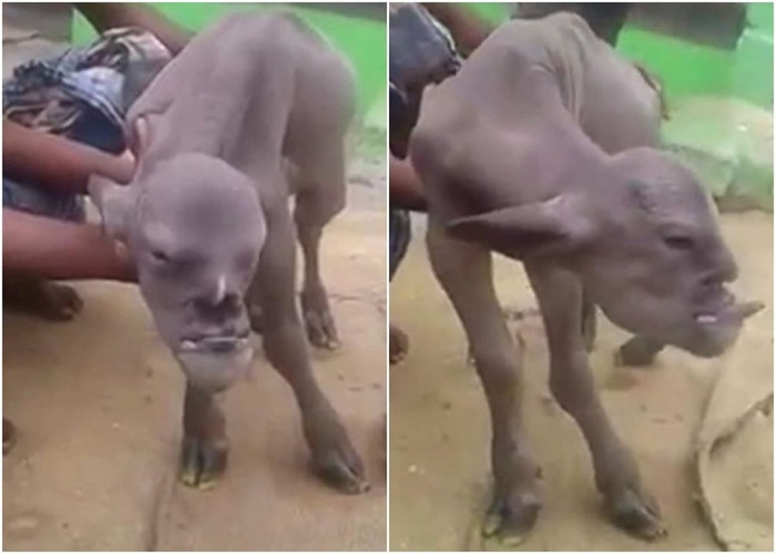 ӡ�ȴ�����������������Ļ���ɽ��