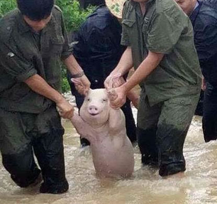 �Ĵ��˱��غὭ������ˮ С�����ȳ�ʱ¶�����á�΢Ц��