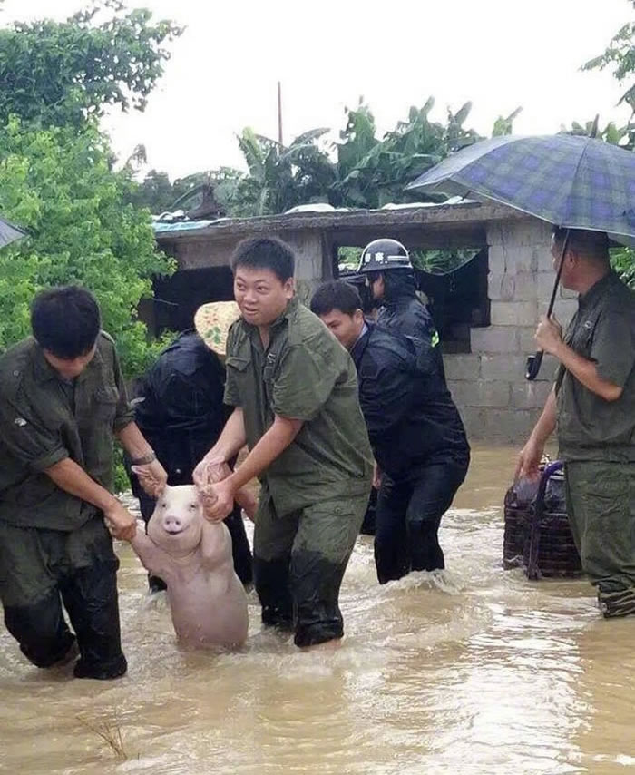 �Ĵ��˱��غὭ������ˮ С�����ȳ�ʱ¶�����á�΢Ц��