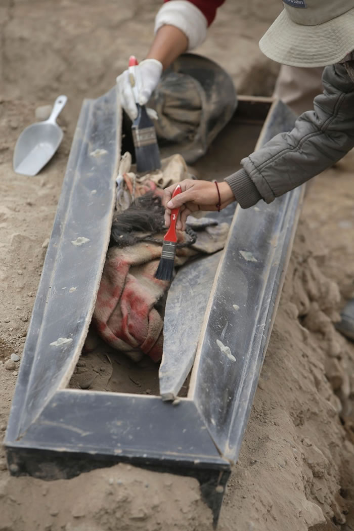 ����ÿλ���߽��ܰ�Ϣ�ں�ɫ���͹�ľ��