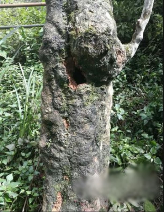 ��������λ�ó��ֿն���