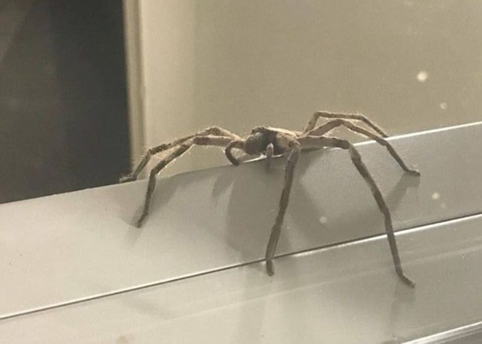 ֩һھµ׿ʼݣȴ硰֡