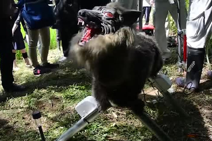 Ϊ��ֹҰ���ƻ�ũ�� �ձ������˹�˾̫�ﾫ���뱱������ѧ�Ƴ������������ǡ�